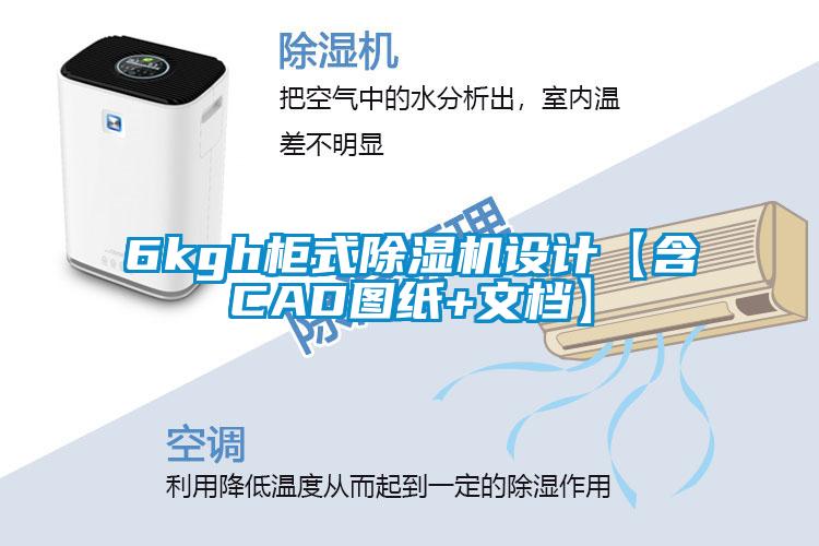 6kgh柜式除濕機(jī)設(shè)計【含CAD圖紙+文檔】