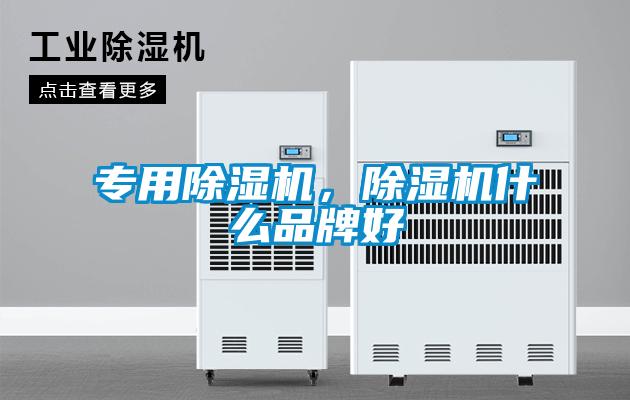 專用除濕機(jī)，除濕機(jī)什么品牌好