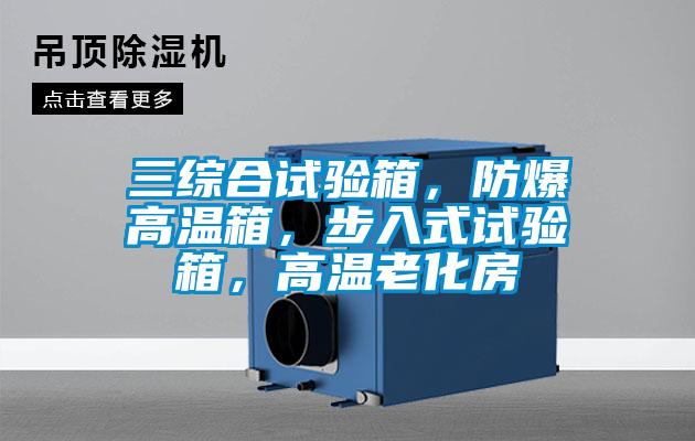 三綜合試驗(yàn)箱，防爆高溫箱，步入式試驗(yàn)箱，高溫老化房