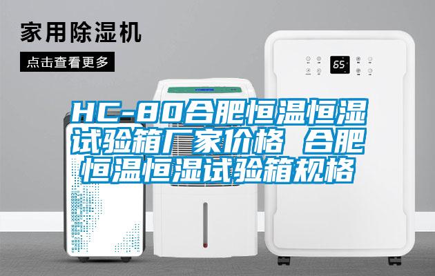 HC-80合肥恒溫恒濕試驗箱廠家價格 合肥恒溫恒濕試驗箱規(guī)格