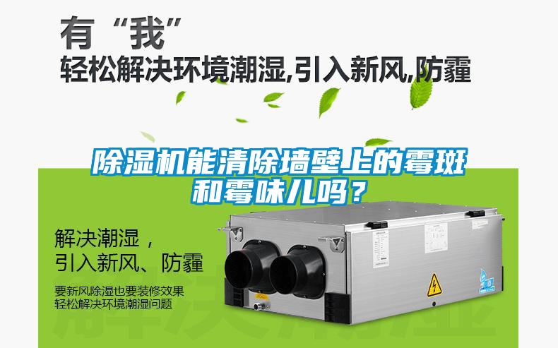 除濕機(jī)能清除墻壁上的霉斑和霉味兒嗎？