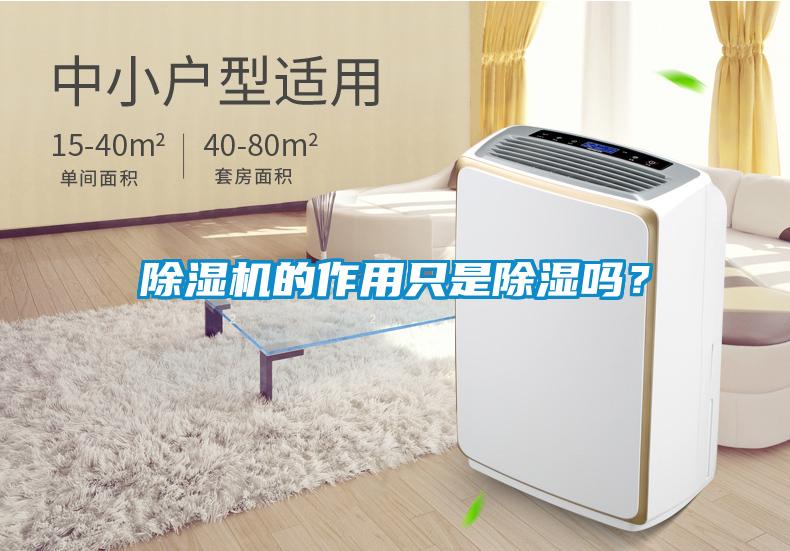 除濕機(jī)的作用只是除濕嗎？