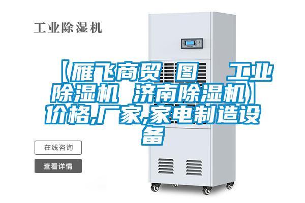 【雁飛商貿(mào) 圖  工業(yè)除濕機(jī) 濟(jì)南除濕機(jī)】價格,廠家,家電制造設(shè)備