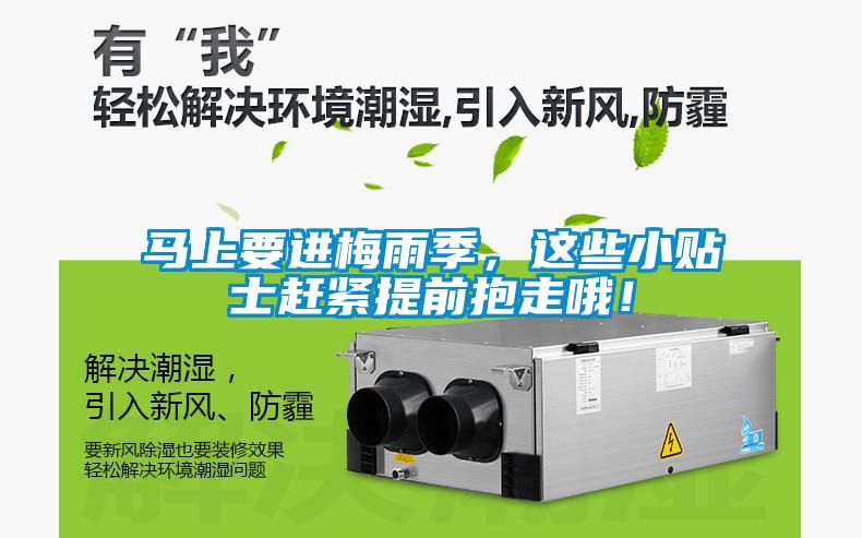 馬上要進(jìn)梅雨季，這些小貼士趕緊提前抱走哦！