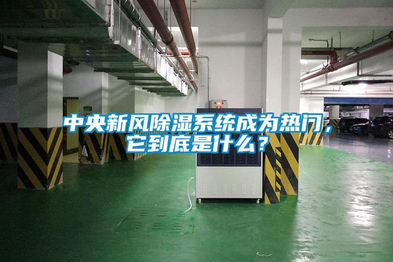 中央新風(fēng)除濕系統(tǒng)成為熱門，它到底是什么？
