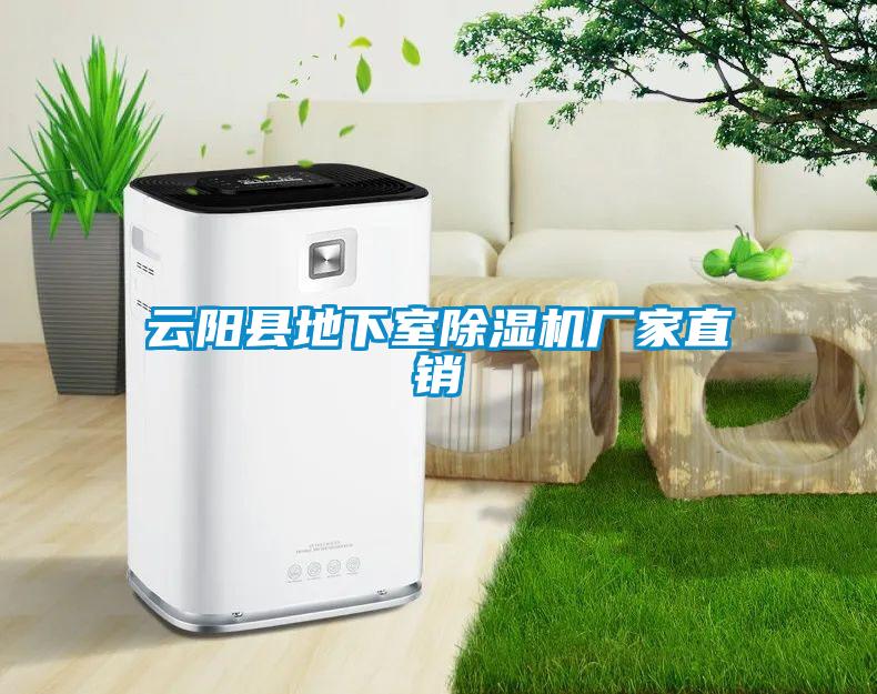 云陽(yáng)縣地下室除濕機(jī)廠家直銷