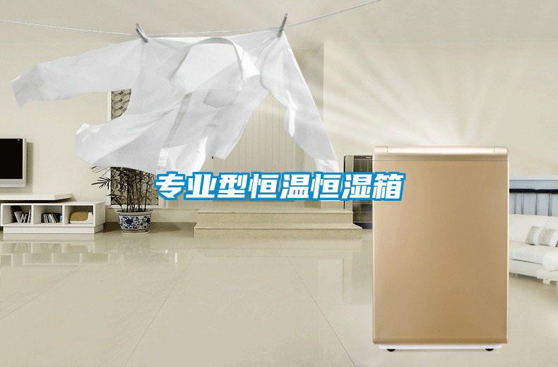 專業(yè)型恒溫恒濕箱