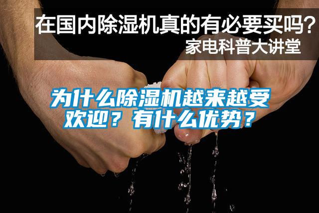 為什么除濕機(jī)越來越受歡迎？有什么優(yōu)勢？