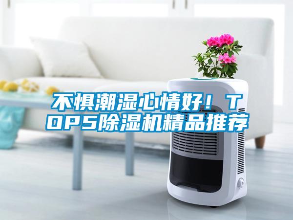 不懼潮濕心情好！TOP5除濕機(jī)精品推薦