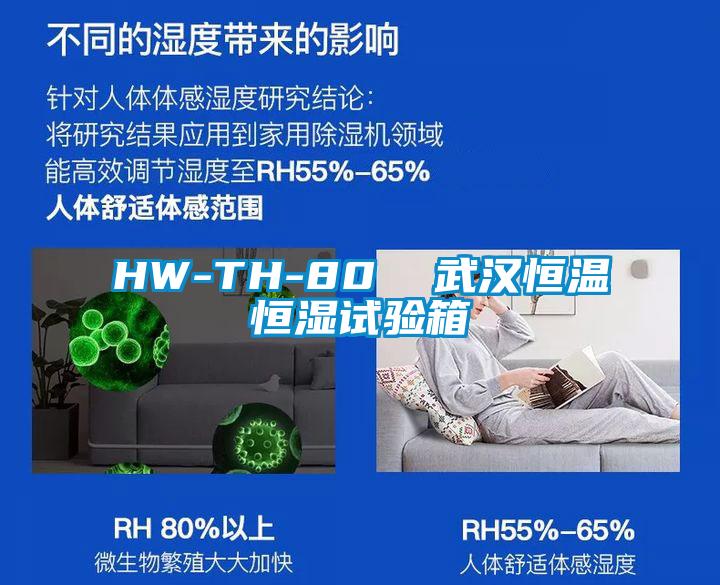 HW-TH-80  武漢恒溫恒濕試驗(yàn)箱