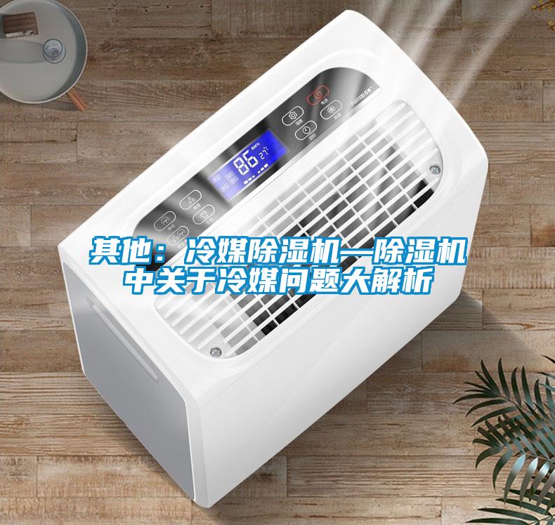 其他：冷媒除濕機(jī)—除濕機(jī)中關(guān)于冷媒問題大解析