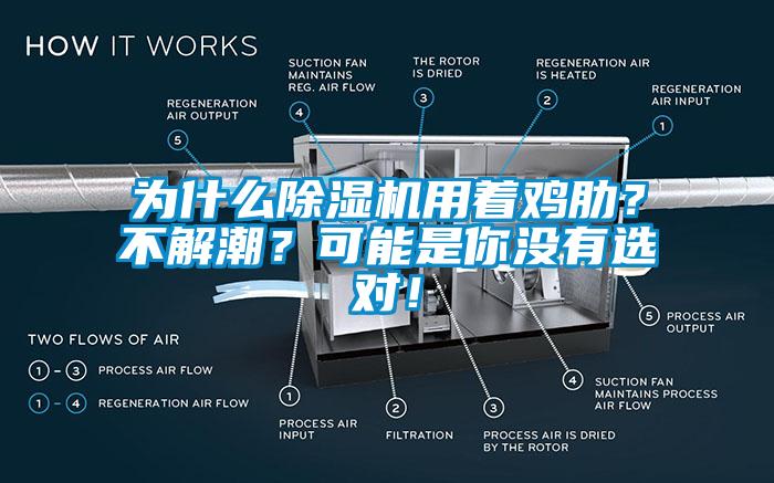為什么除濕機(jī)用著雞肋？不解潮？可能是你沒有選對(duì)！