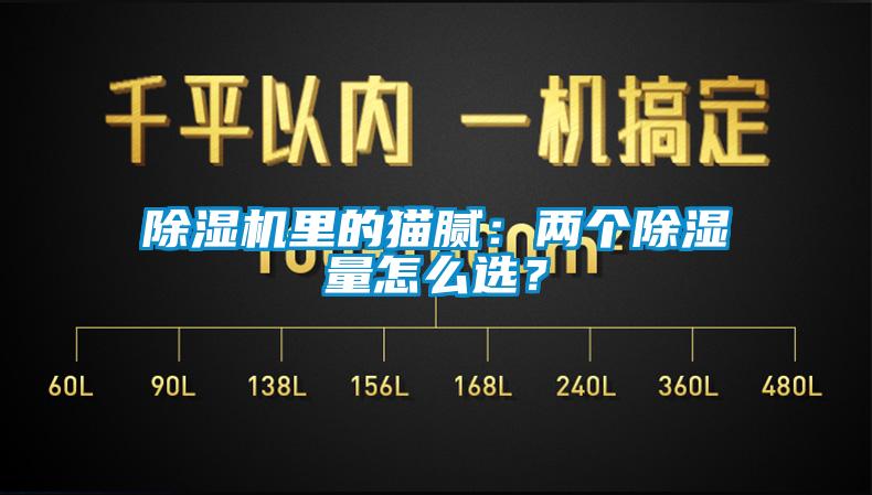 除濕機里的貓膩：兩個除濕量怎么選？