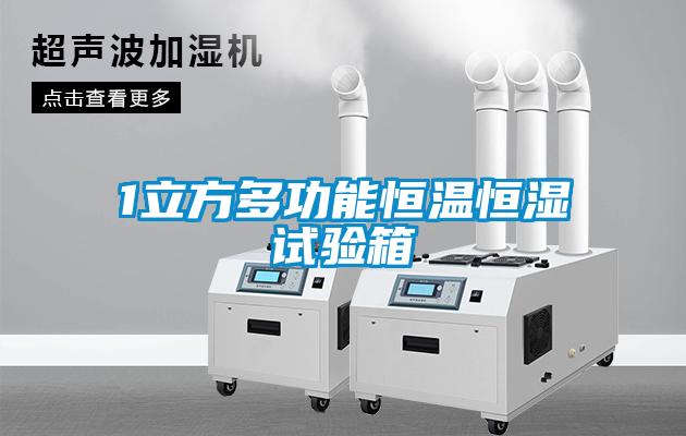 1立方多功能恒溫恒濕試驗(yàn)箱