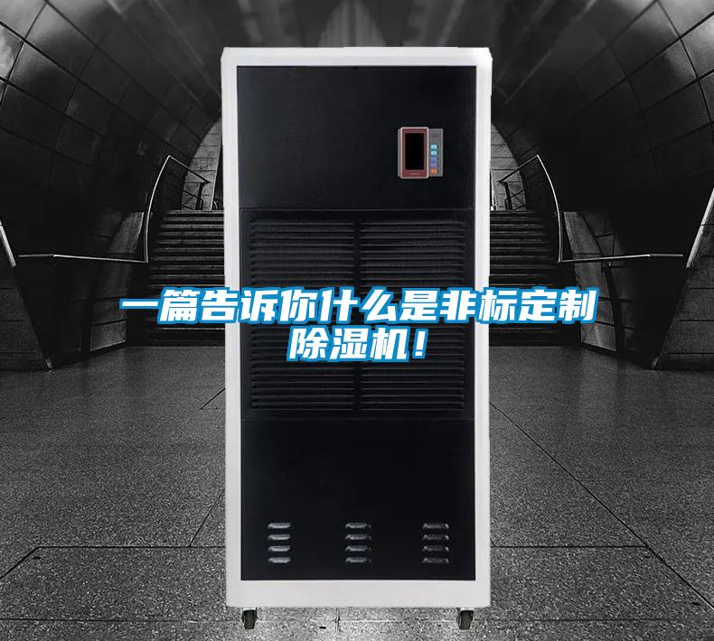 一篇告訴你什么是非標(biāo)定制除濕機(jī)！