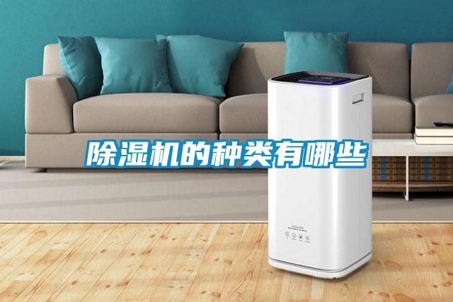除濕機(jī)的種類(lèi)有哪些