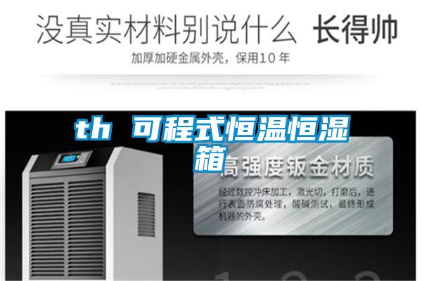 th 可程式恒溫恒濕箱