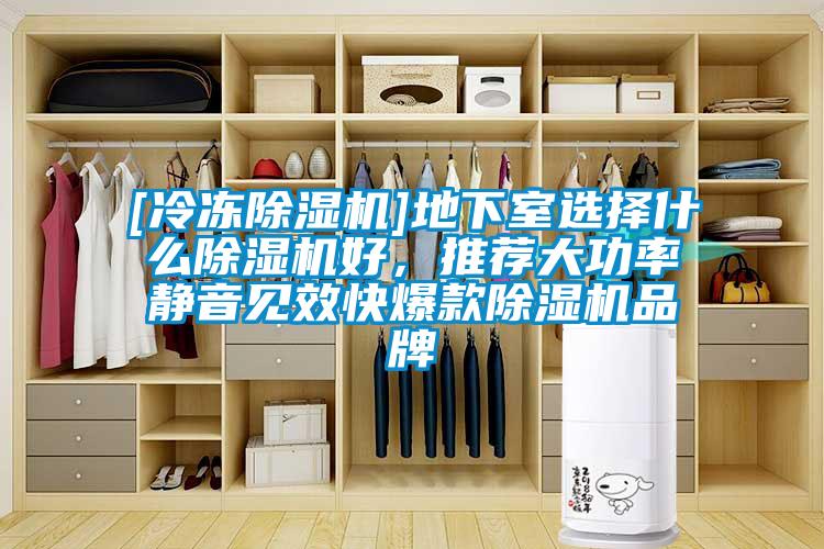 [冷凍除濕機]地下室選擇什么除濕機好，推薦大功率靜音見效快爆款除濕機品牌