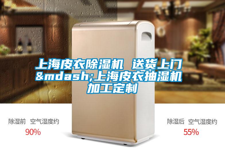 上海皮衣除濕機(jī) 送貨上門 &mdash;上海皮衣抽濕機(jī) 加工定制