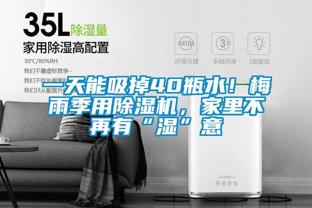 一天能吸掉40瓶水！梅雨季用除濕機(jī)，家里不再有“濕”意