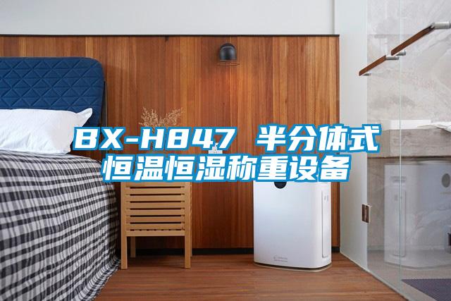 BX-H847 半分體式恒溫恒濕稱重設(shè)備