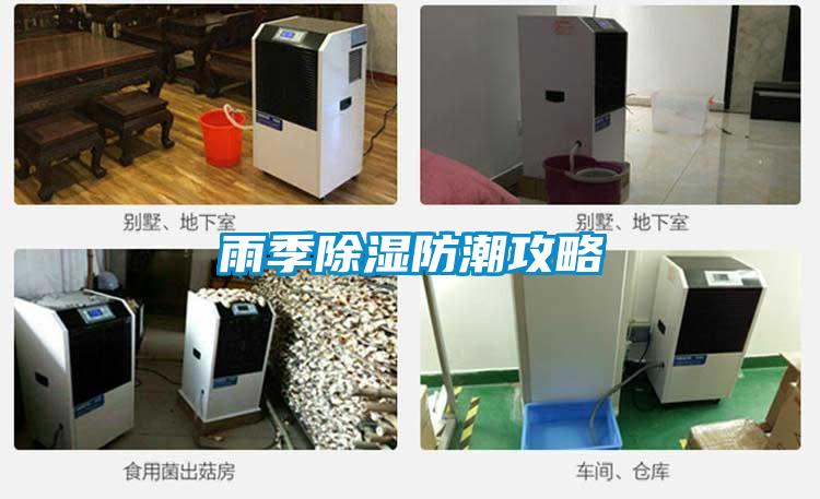 雨季除濕防潮攻略