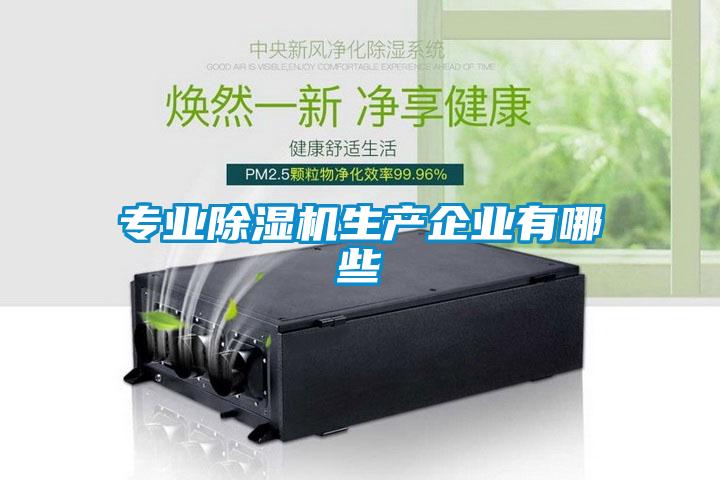 專業(yè)除濕機(jī)生產(chǎn)企業(yè)有哪些