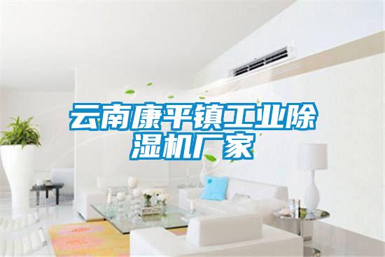 云南康平鎮(zhèn)工業(yè)除濕機(jī)廠(chǎng)家