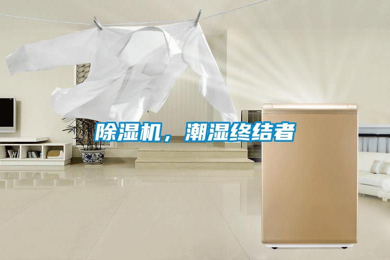 除濕機，潮濕終結者