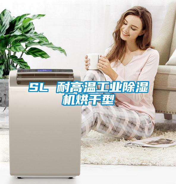 SL 耐高溫工業(yè)除濕機(jī)烘干型
