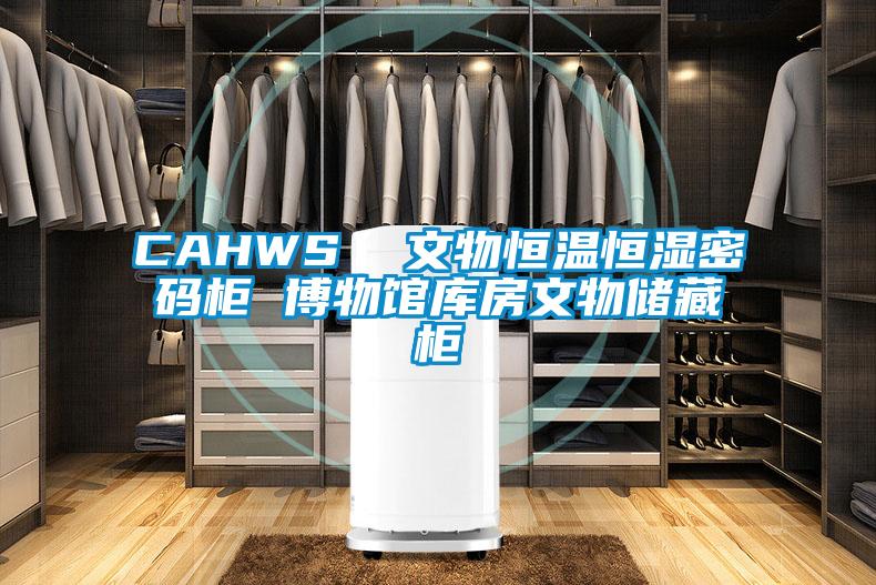 CAHWS  文物恒溫恒濕密碼柜 博物館庫房文物儲(chǔ)藏柜