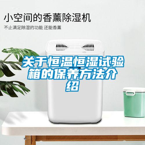 關于恒溫恒濕試驗箱的保養(yǎng)方法介紹