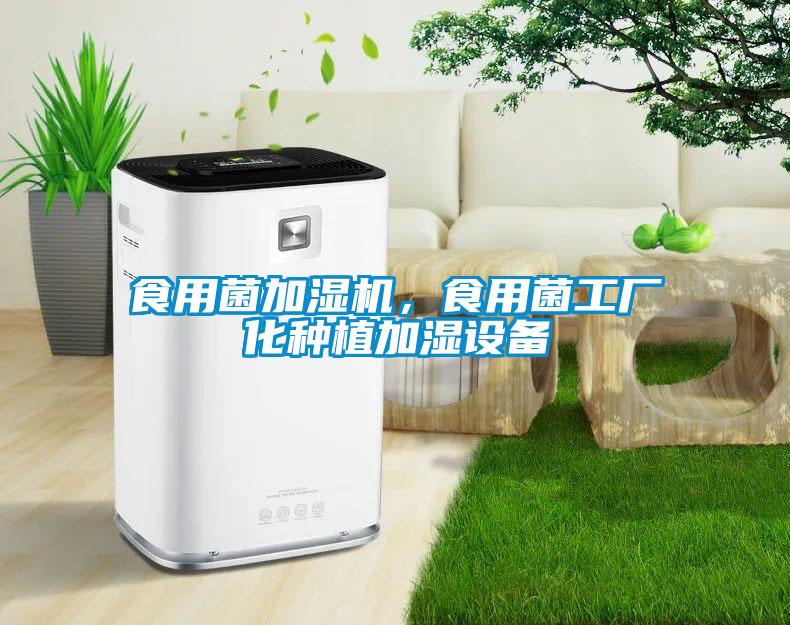 食用菌加濕機，食用菌工廠化種植加濕設備