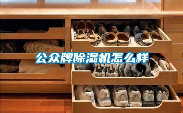 公眾牌除濕機(jī)怎么樣