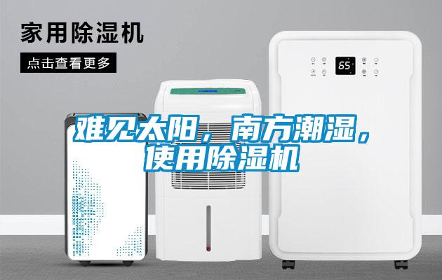 難見太陽，南方潮濕，使用除濕機