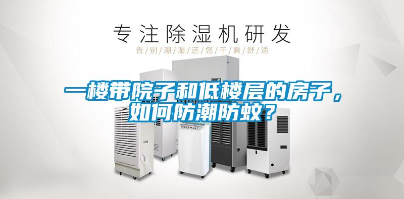 一樓帶院子和低樓層的房子，如何防潮防蚊？