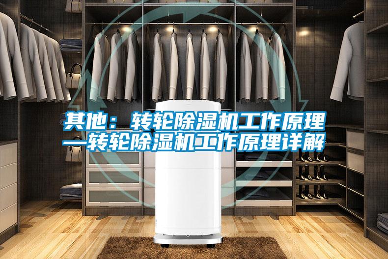 其他：轉(zhuǎn)輪除濕機工作原理—轉(zhuǎn)輪除濕機工作原理詳解