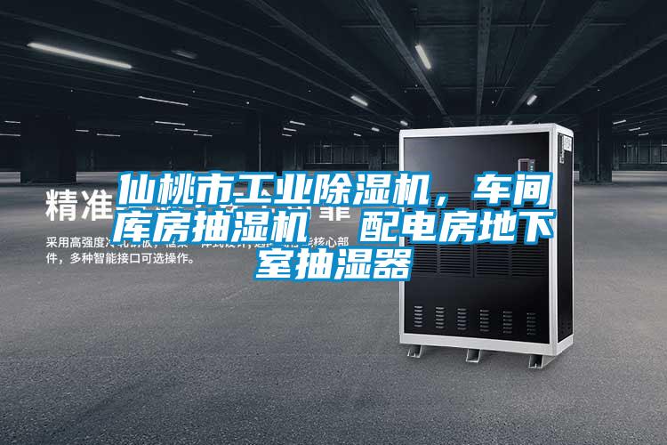 仙桃市工業(yè)除濕機(jī)，車(chē)間庫(kù)房抽濕機(jī)  配電房地下室抽濕器