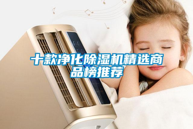 十款凈化除濕機精選商品榜推薦