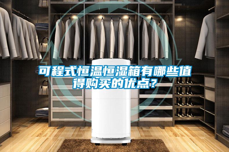 可程式恒溫恒濕箱有哪些值得購買的優(yōu)點(diǎn)？
