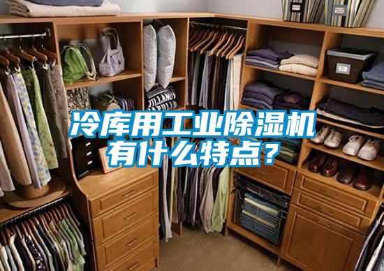 冷庫用工業(yè)除濕機有什么特點？