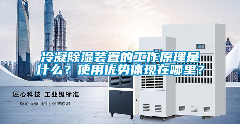 冷凝除濕裝置的工作原理是什么？使用優(yōu)勢體現(xiàn)在哪里？
