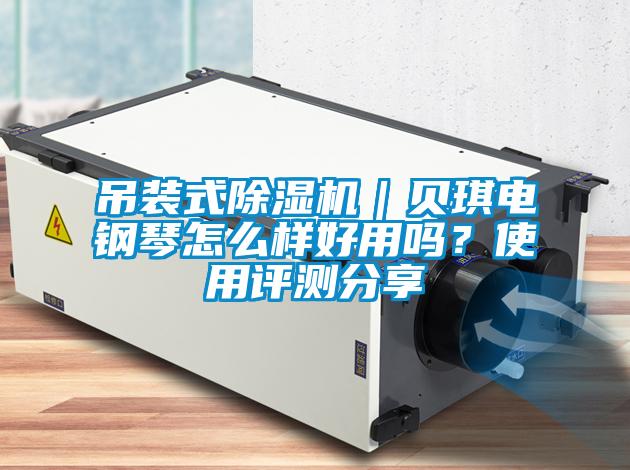 吊裝式除濕機(jī)｜貝琪電鋼琴怎么樣好用嗎？使用評測分享