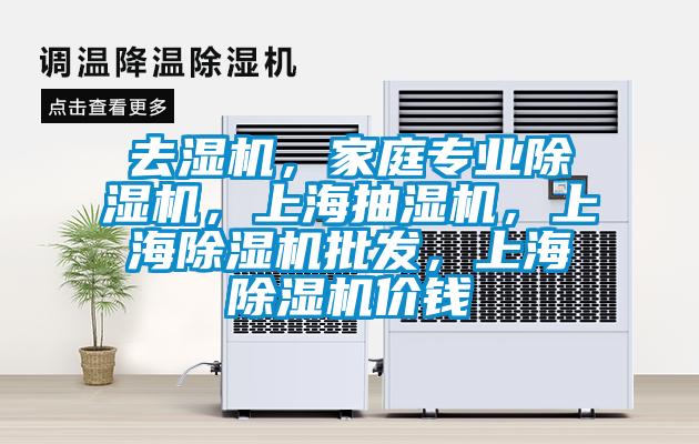 去濕機，家庭專業(yè)除濕機，上海抽濕機，上海除濕機批發(fā)，上海除濕機價錢