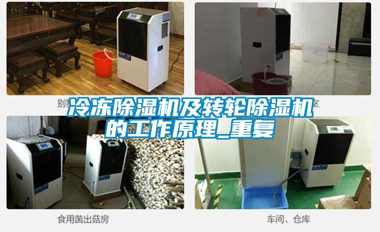 冷凍除濕機及轉(zhuǎn)輪除濕機的工作原理_重復