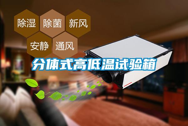 分體式高低溫試驗箱