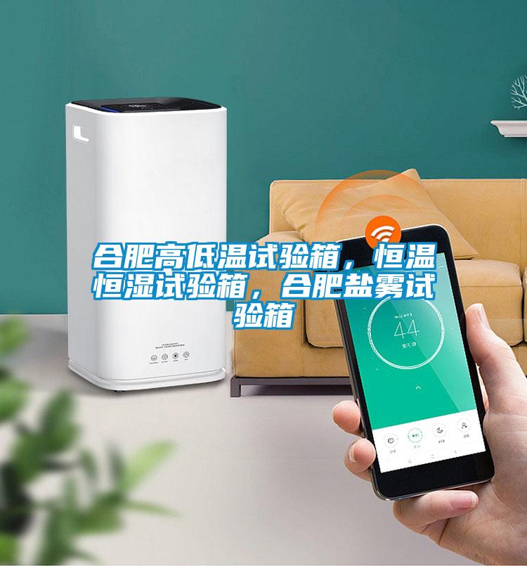 合肥高低溫試驗(yàn)箱，恒溫恒濕試驗(yàn)箱，合肥鹽霧試驗(yàn)箱