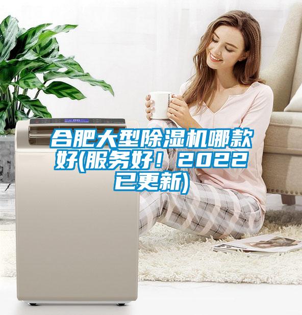 合肥大型除濕機(jī)哪款好(服務(wù)好！2022已更新)
