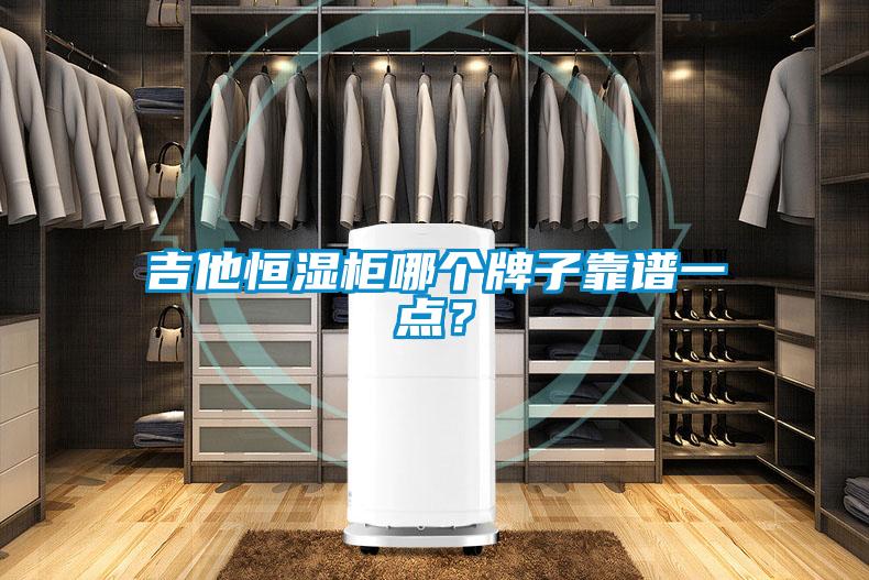 吉他恒濕柜哪個(gè)牌子靠譜一點(diǎn)？