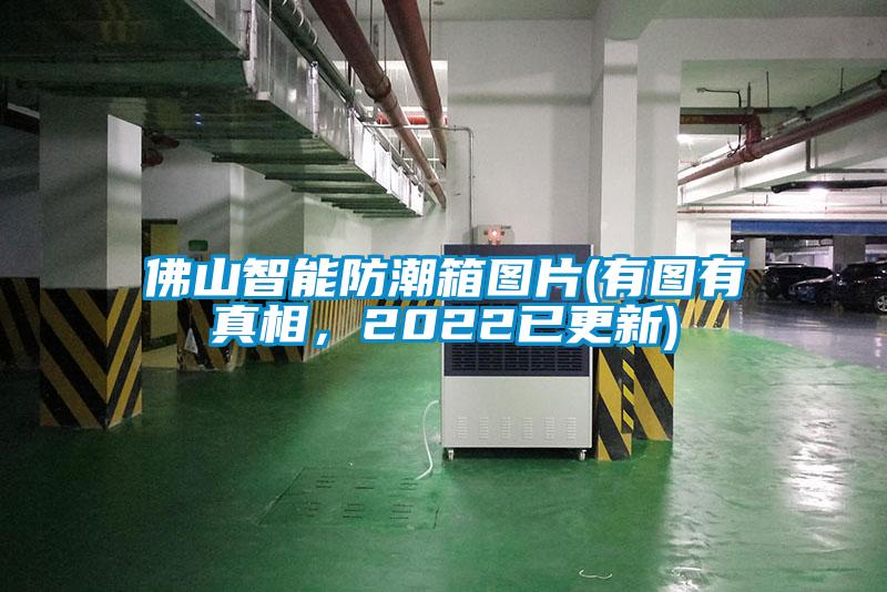 佛山智能防潮箱圖片(有圖有真相，2022已更新)